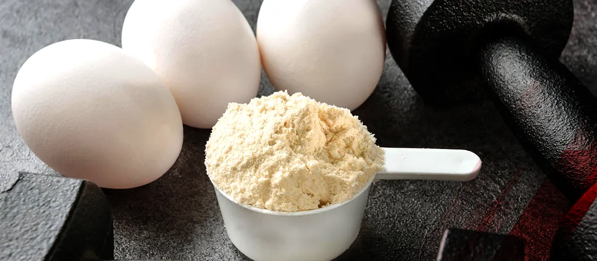 Egg Protein Powder: The Secret Sauce of Culinary Dishes